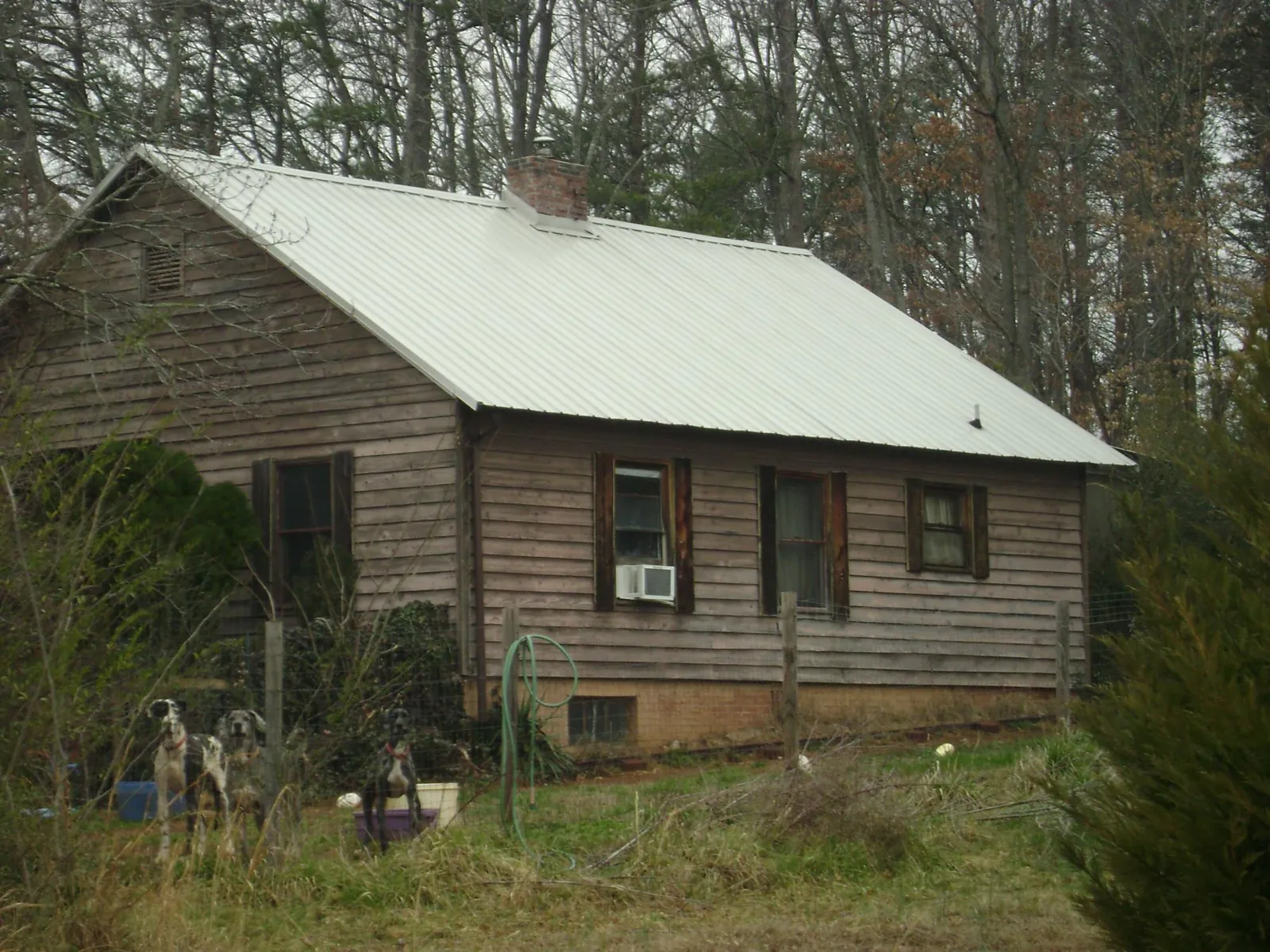 White metal roof on an old wood sided farmhouse, from a Metal Roof Installation job in Waldport